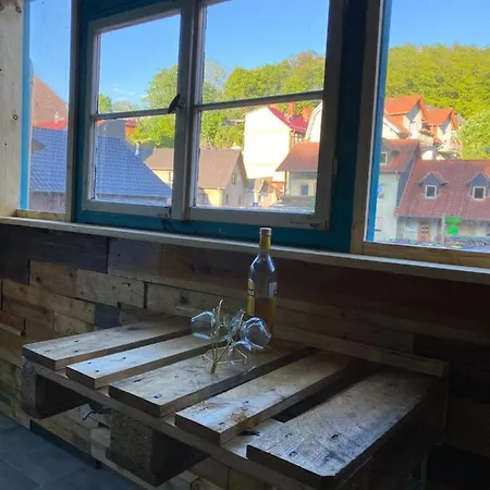 公寓 Vintage 55 Direkt Am Fusse Zur Wartburg 艾森纳赫