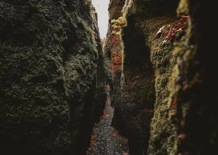 Lägenhet Vintage 55 Direkt Am Fusse Zur Wartburg